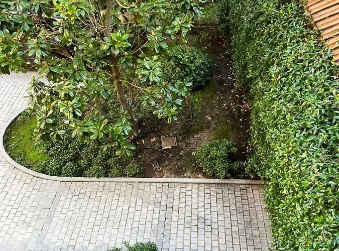 La D'auteuil, 16